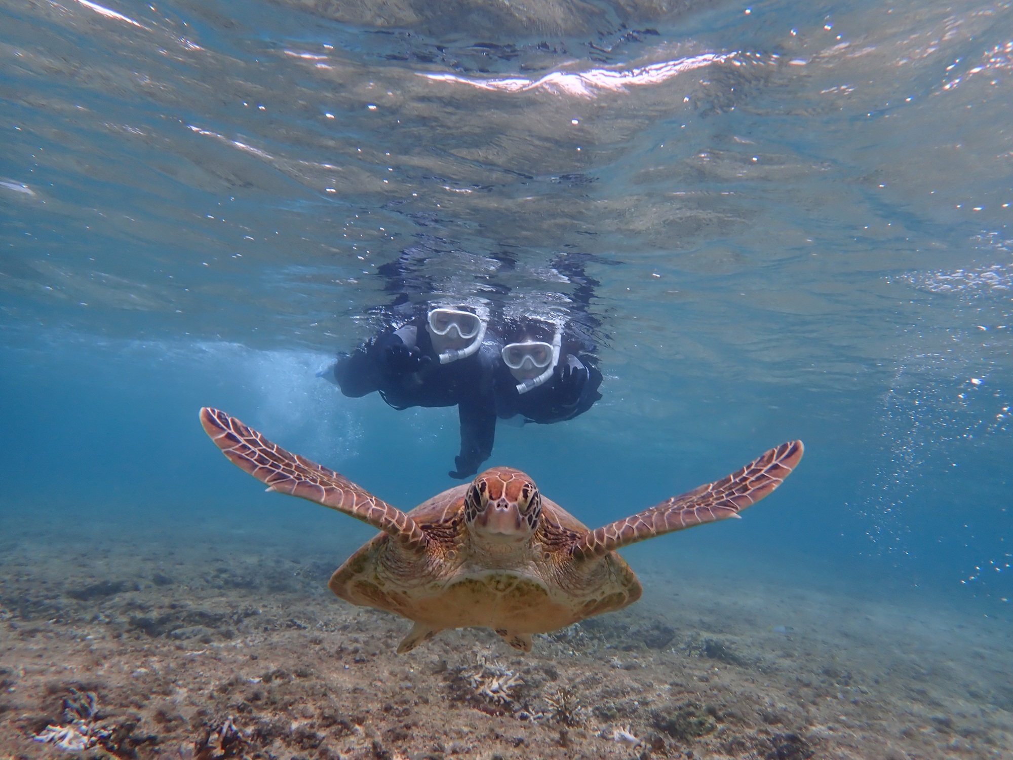 ★初心者向け★自然体験シュノーケリング