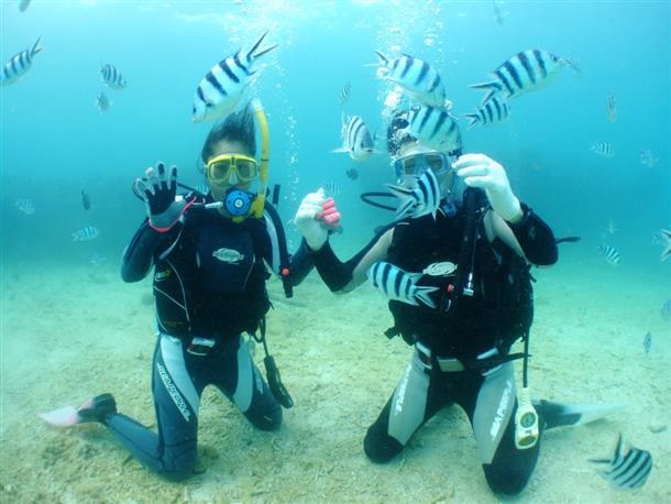 カラフルな魚達とのんびりと