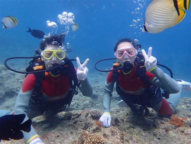 サンゴと熱帯魚たちがたくさん