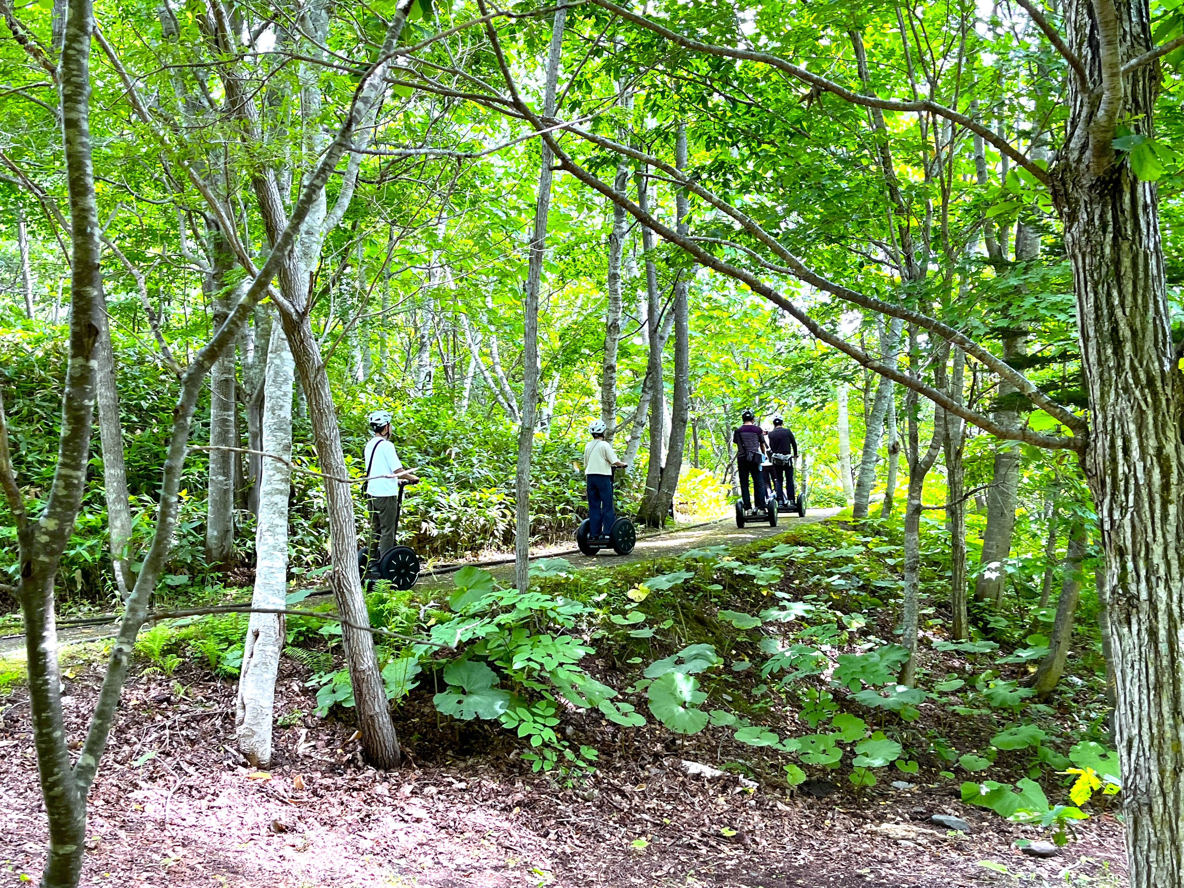 地形をそのまま生かした国営公園