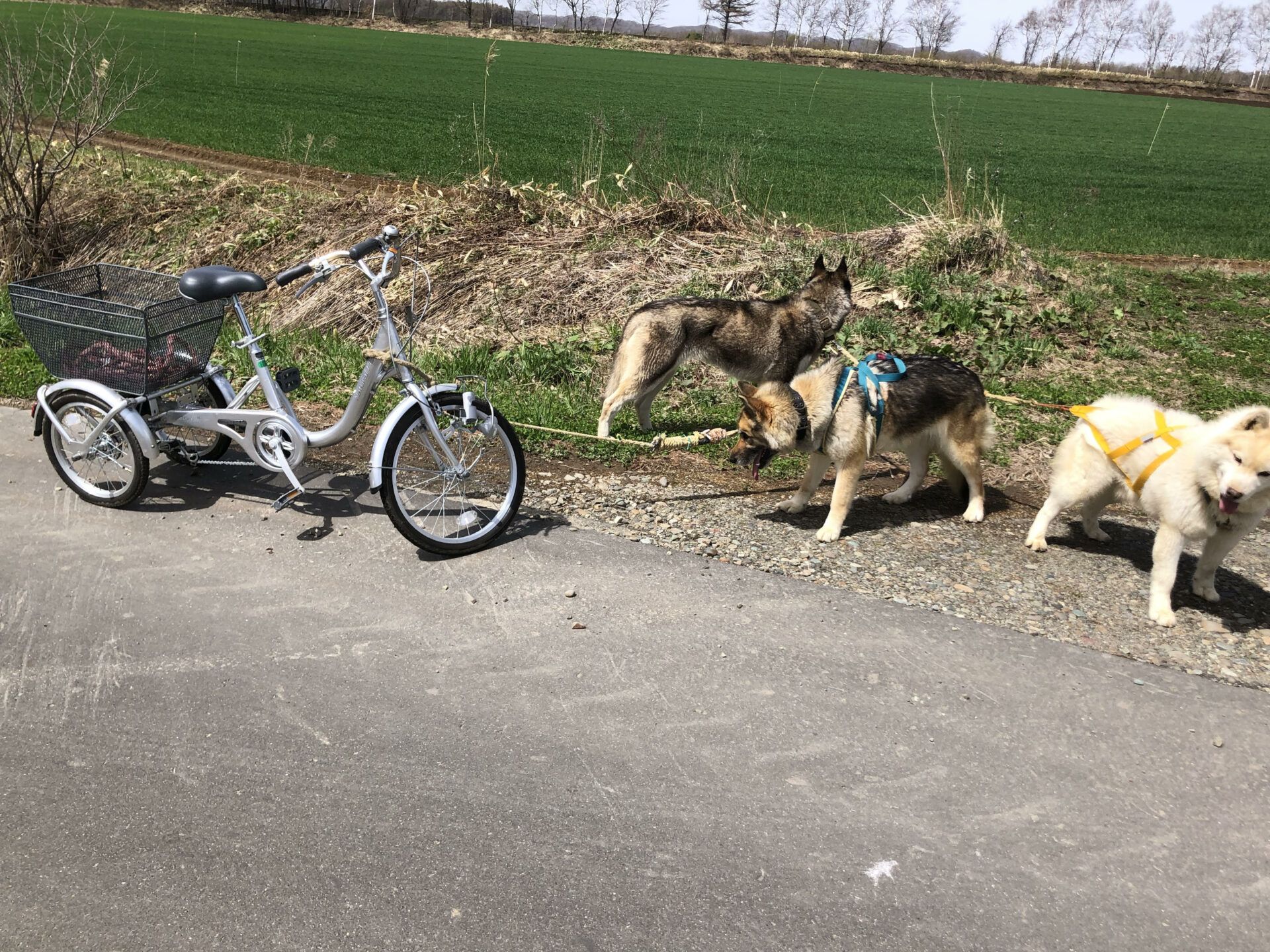 安全な三輪車での走行