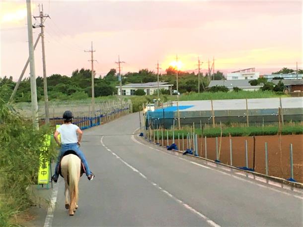 1日ファームステイ体験