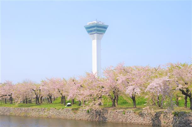 季節で様々な景色を魅せる五稜郭公園