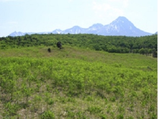 広々とした草原と知床連山