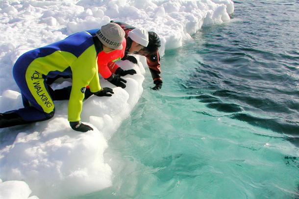 『流氷ウォーク』でクリオネを探してみたり