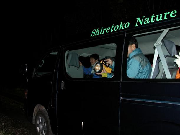 車から注意深く野生動物を探す…