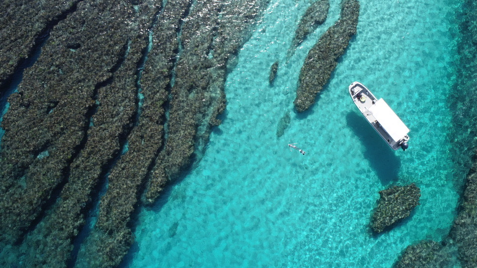 透明度抜群の海
