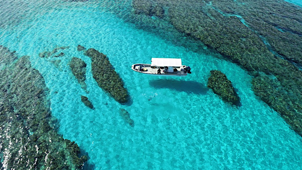 透明度抜群の海