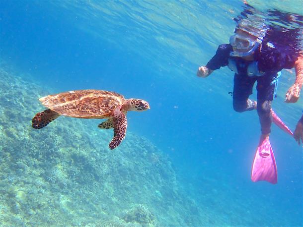 海、山、川を思い切って楽しめる