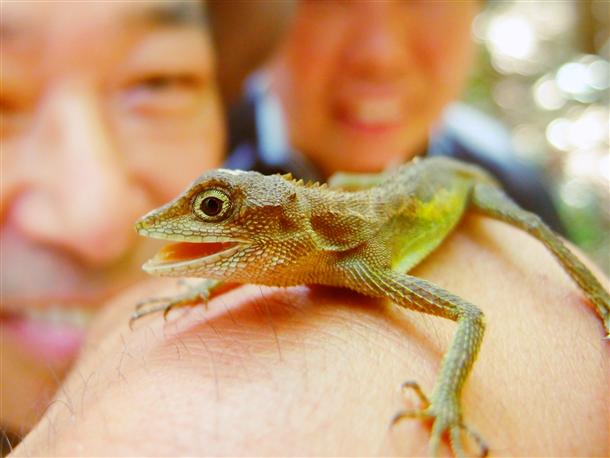 生物たちを見ながら歩くことも！？