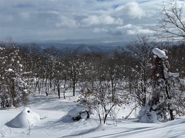 ふわふわ雪を楽しもう！
