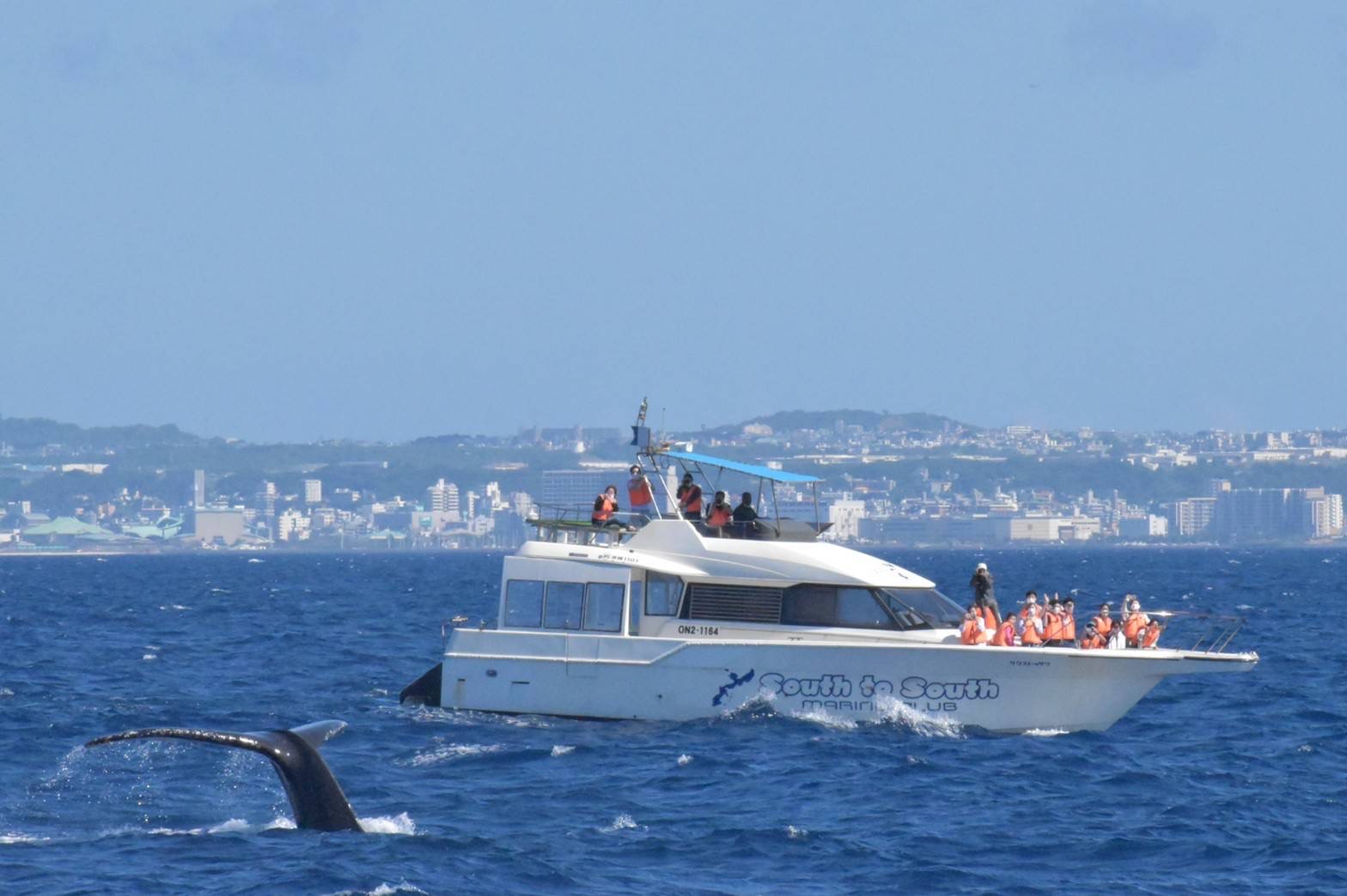 プロカメラマンが乗船するほど撮影にも最適