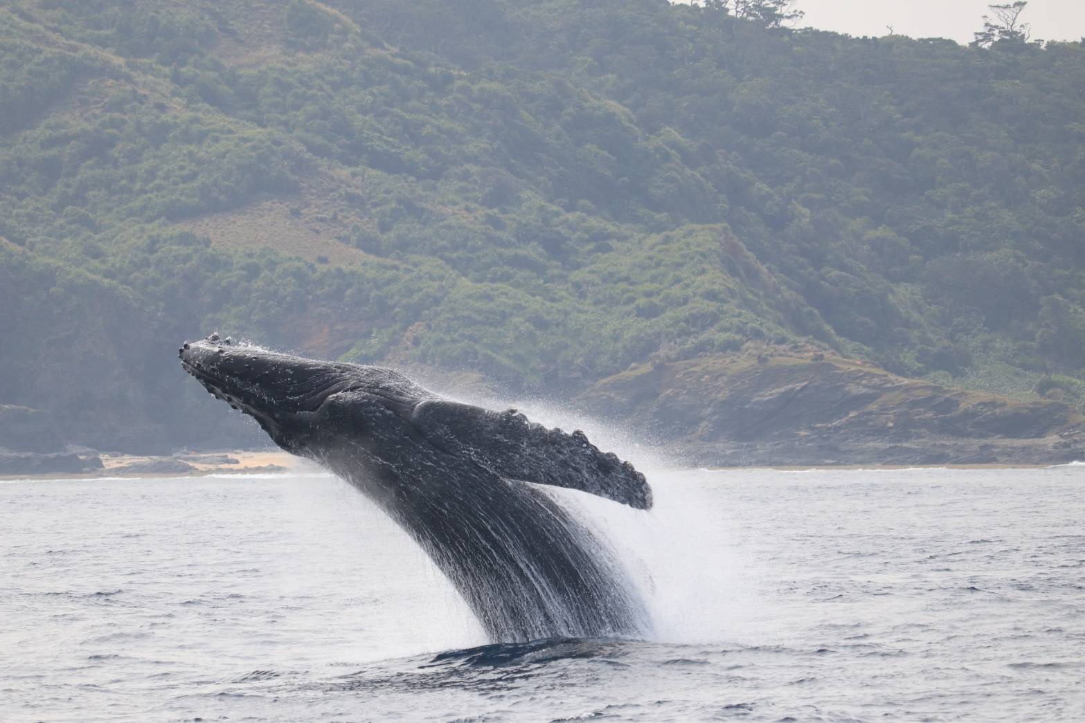 ベストポジションで撮影もできます