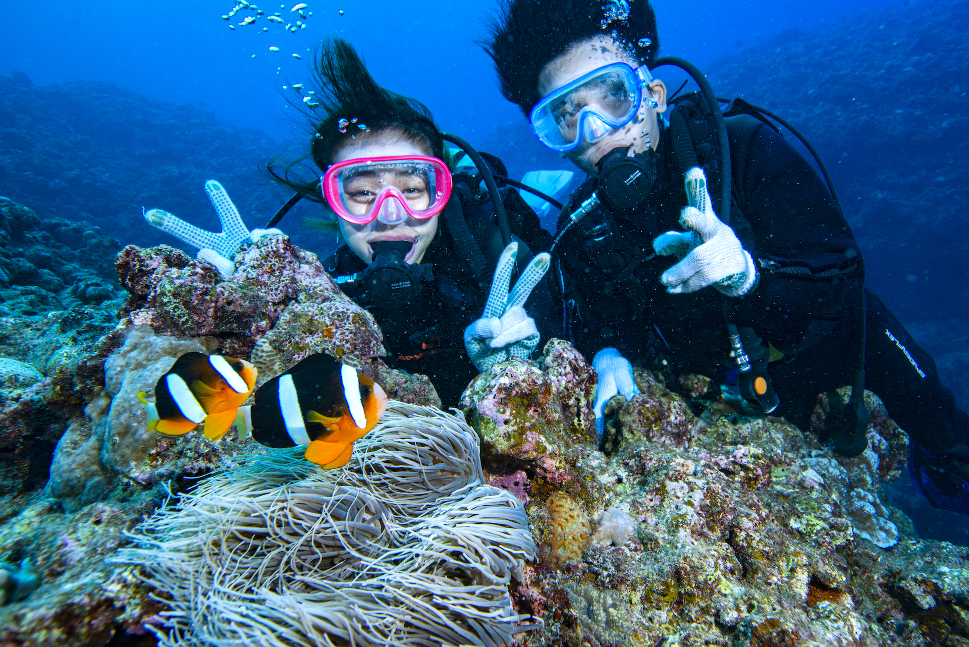 ボート出航＋水中40分＋エサあげ体験付き