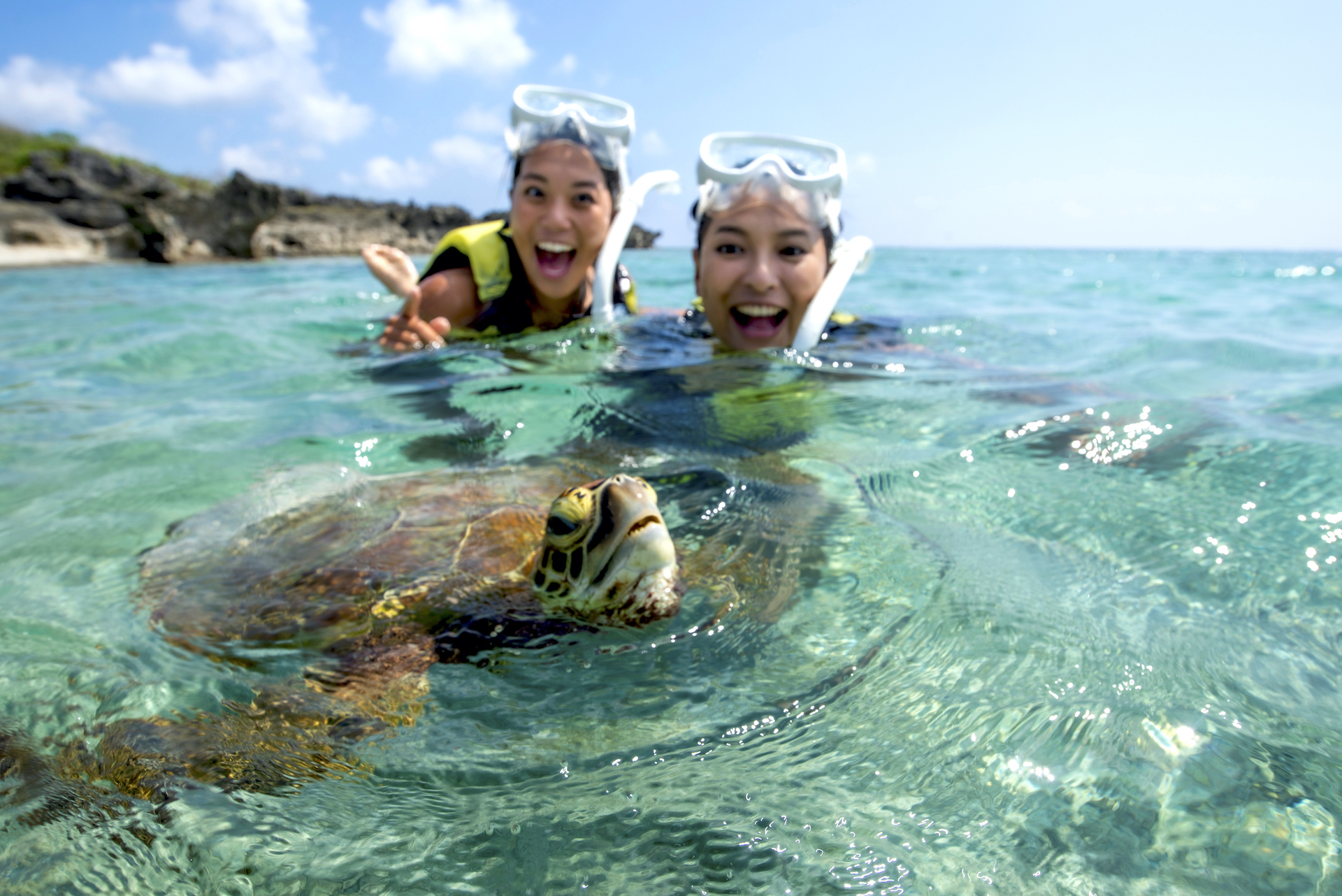比較的に浅い水深でウミガメと遭遇できます