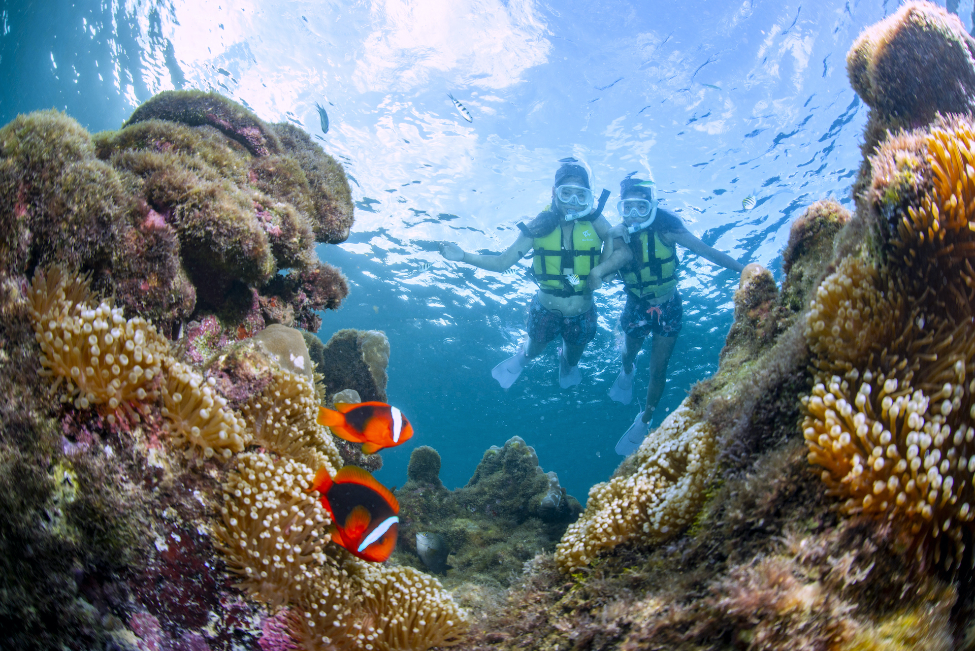 絶景ゴールデンコース！