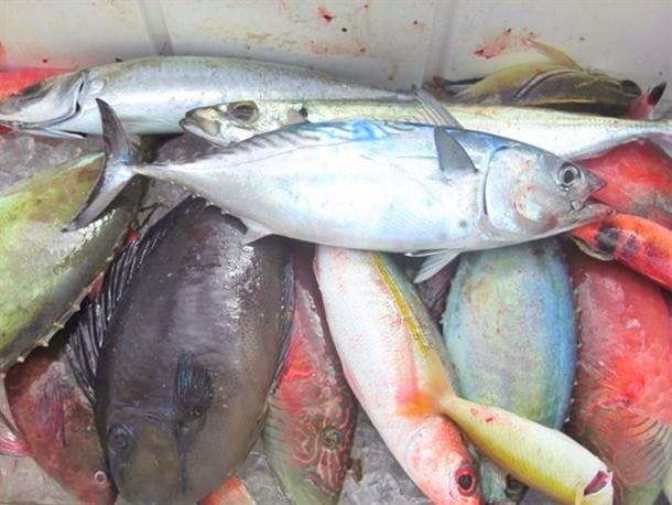沖縄の大海原での釣りは解放感抜群♪