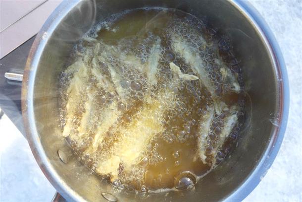 釣ったワカサギはその場で揚げてくれる