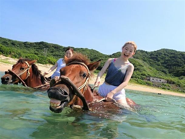 1人1頭の手綱を操る乗馬体験！