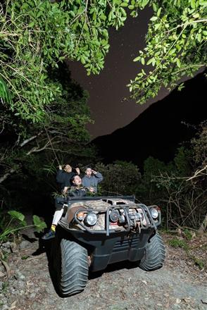 スリル満点の夜のジャングル！
