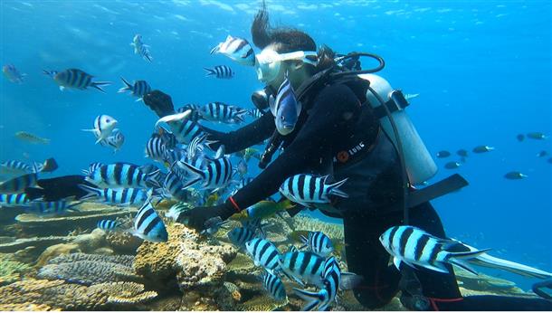 カラフルな魚達とのんびりと過ごす