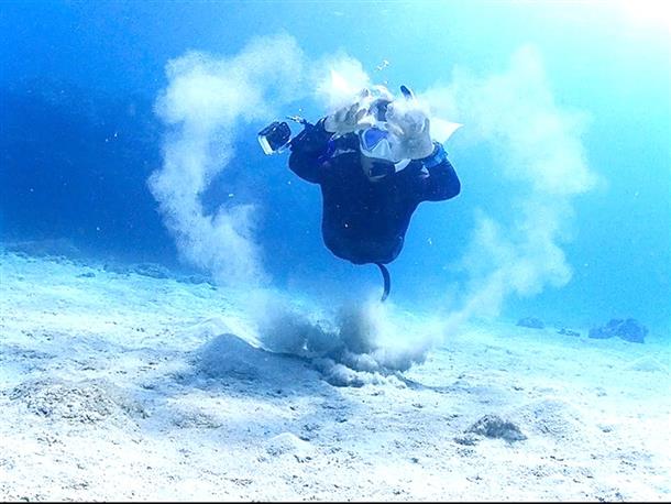 身体一つで海を思う存分体感！
