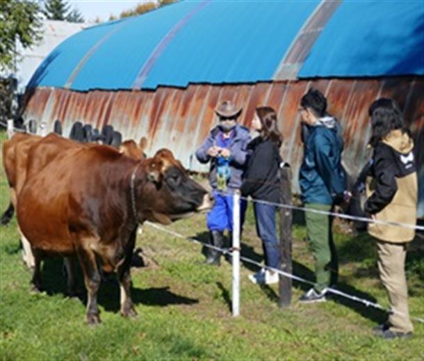 北海道らしい動物とのふれあい