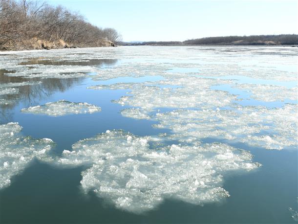 冬にしか見れない氷の結晶