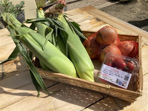 2,000円分の旬の採れたて野菜を贈呈！