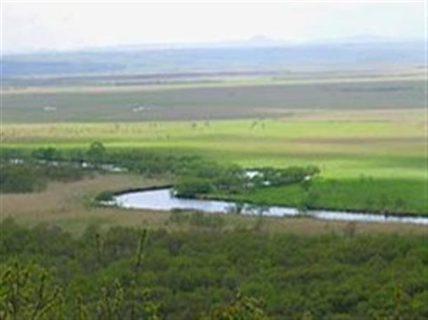 迫力ある湿原の自然