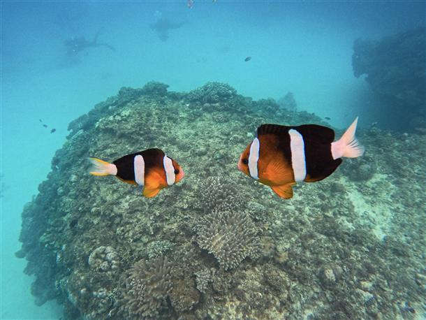 麗な景色が楽しめる