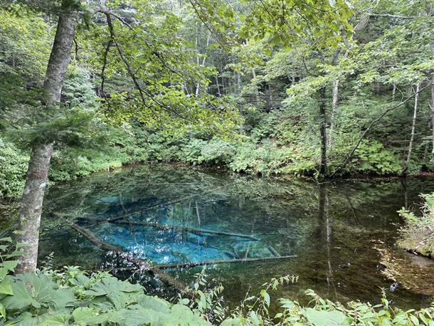 神秘の池・『神の小池』にも訪れてみよう！