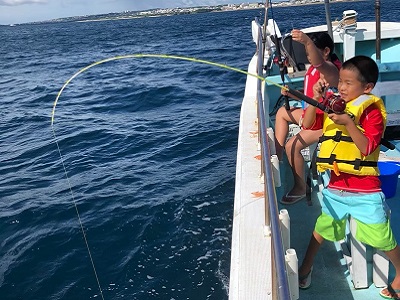 南国の魚たちに出会おう♪