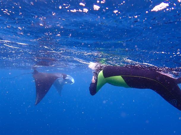 砂地が美しい黒島周辺の海も大満喫