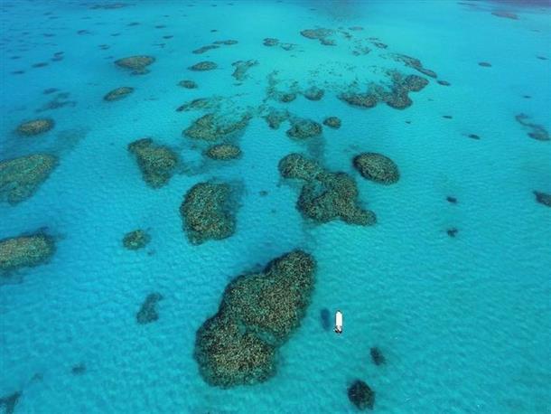 複数枚のマンタを見られるかも？