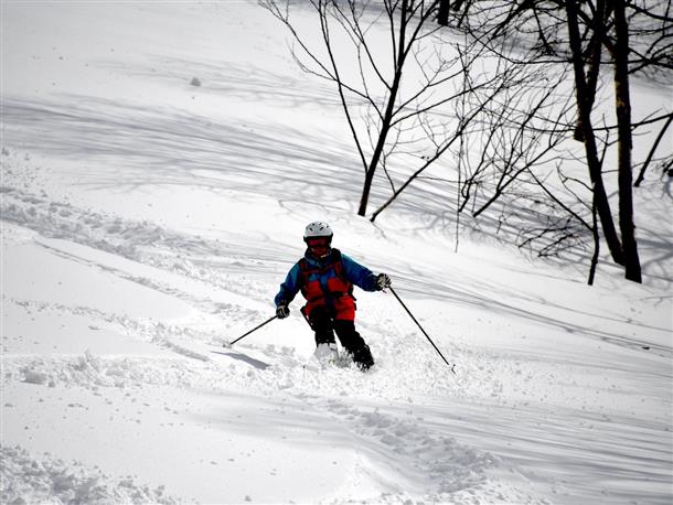 この時期、春パウ体験も・・・・・・