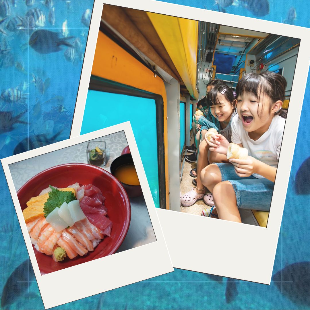 水中観光＆ランチ