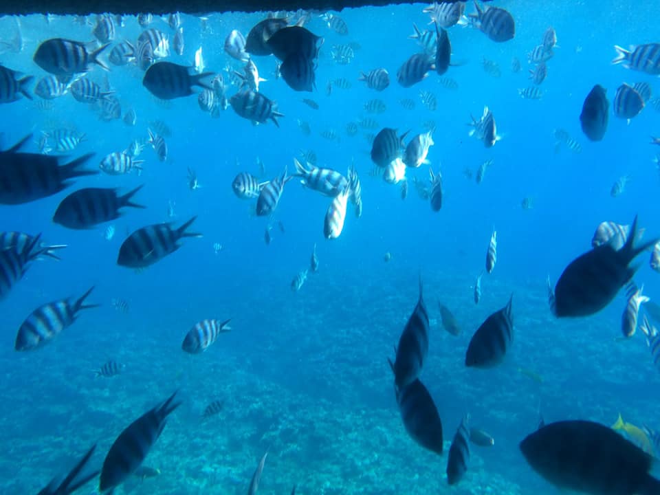 水中