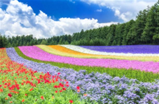 幻想世界