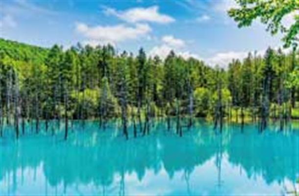絶景!! 青い池