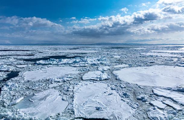 神秘と感動の流氷を体験しよう！