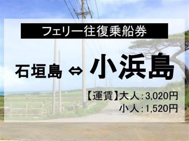 乗船券のみで自由に小浜島観光！