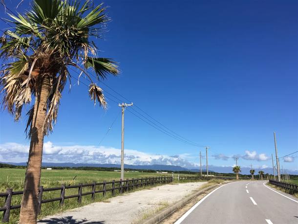 寄り道＆のんびりサイクリング♪