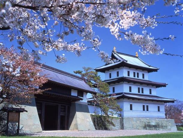 日本さくら名所100選の一つ松前公園