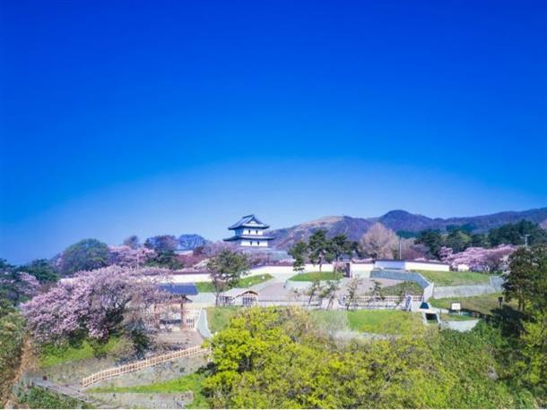 桜名所を一気に巡る1日