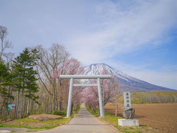 羊蹄山神社（真狩神社）