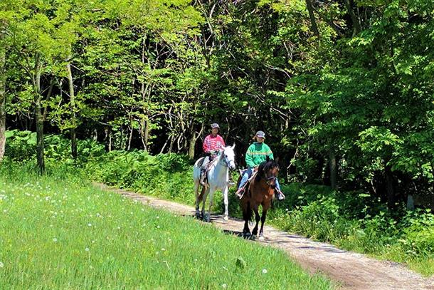 富良野の大自然の中で乗馬を体験しよう！