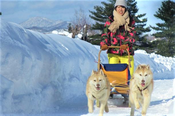 富良野の雪原を犬と駆け抜けよう！