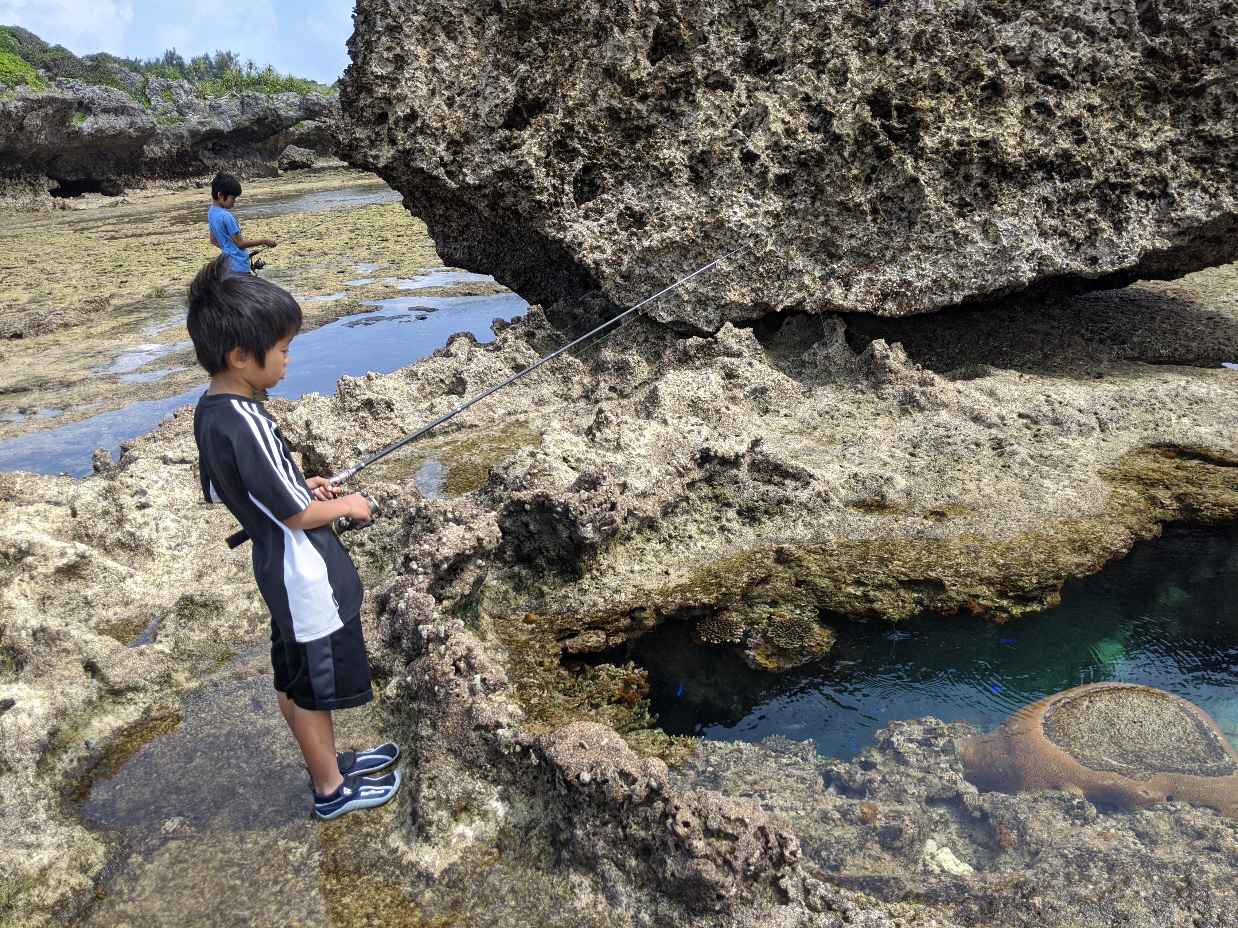 岩のスキマにもタイドプール発見！