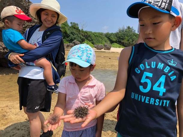 サンゴ礁の生き物も観察してみよう♪